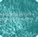 A primeira glória é a reparação dos erros