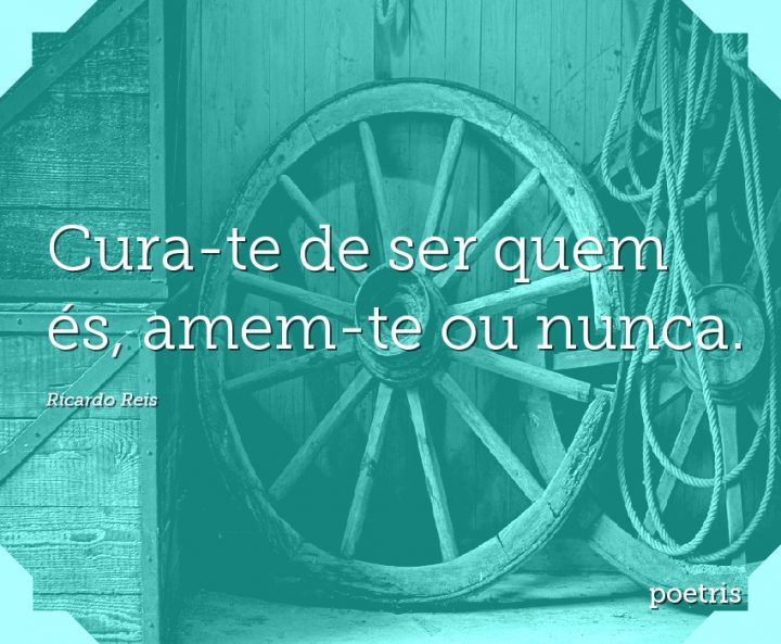 Cura-te de ser quem és, amem-te ou nunca