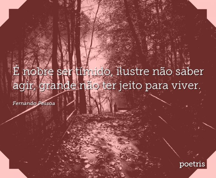 É nobre ser tímido, ilustre não saber agir, grande não ter jeito para viver