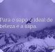 Para o sapo o ideal de beleza é a sapa