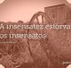 A insensatez estorva os insensatos