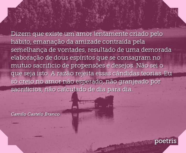 Dizem que existe um amor lentamente criado pelo hábito