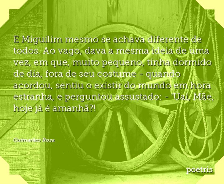 E Miguilim mesmo se achava diferente de todos