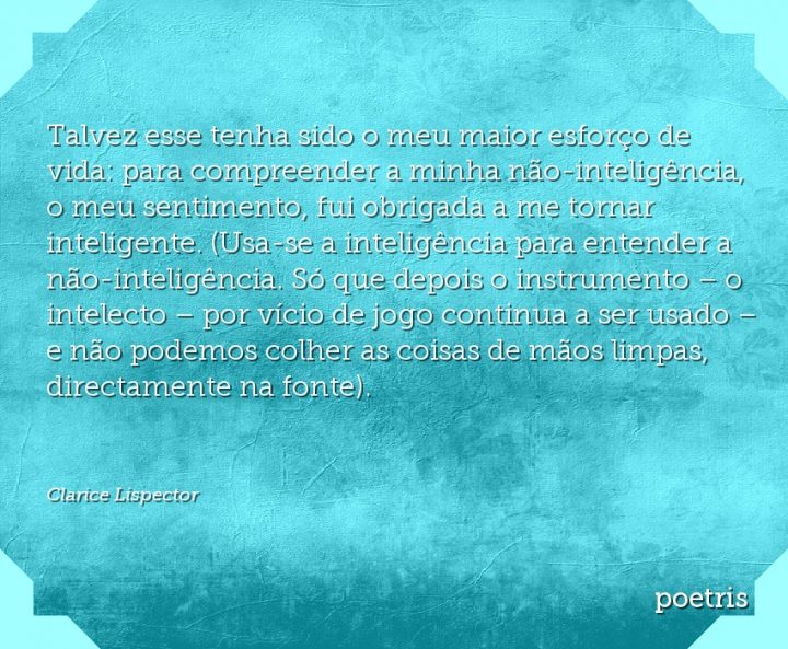 Talvez esse tenha sido o meu maior esforço de vida: para compreender a minha