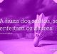 A fiúza dos santos, se enfeitam os altares