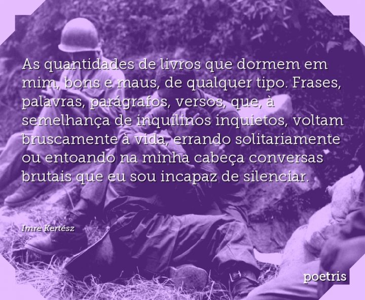 As quantidades de livros que dormem em mim, bons e maus, de qualquer tipo