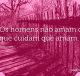 Os homens não amam o que cuidam que amam