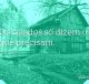Os calados só dizem o que precisam