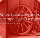 Amor, fascinante amor, o campo é o teu templo