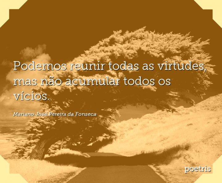 Podemos reunir todas as virtudes, mas não acumular todos os vícios