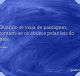 Quando se viaja de passagem, tomam-se os abusos pelas leis do país