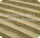 As revoluções são a locomotiva da história