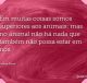 Em muitas coisas somos superiores aos animais; mas no animal não há nada que também não