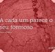 A cada um parece o seu formoso