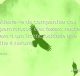 Afasta-te da companhia dos perniciosos