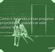 Como é fecunda a mais pequena propriedade, quando se sabe cultivá-la bem